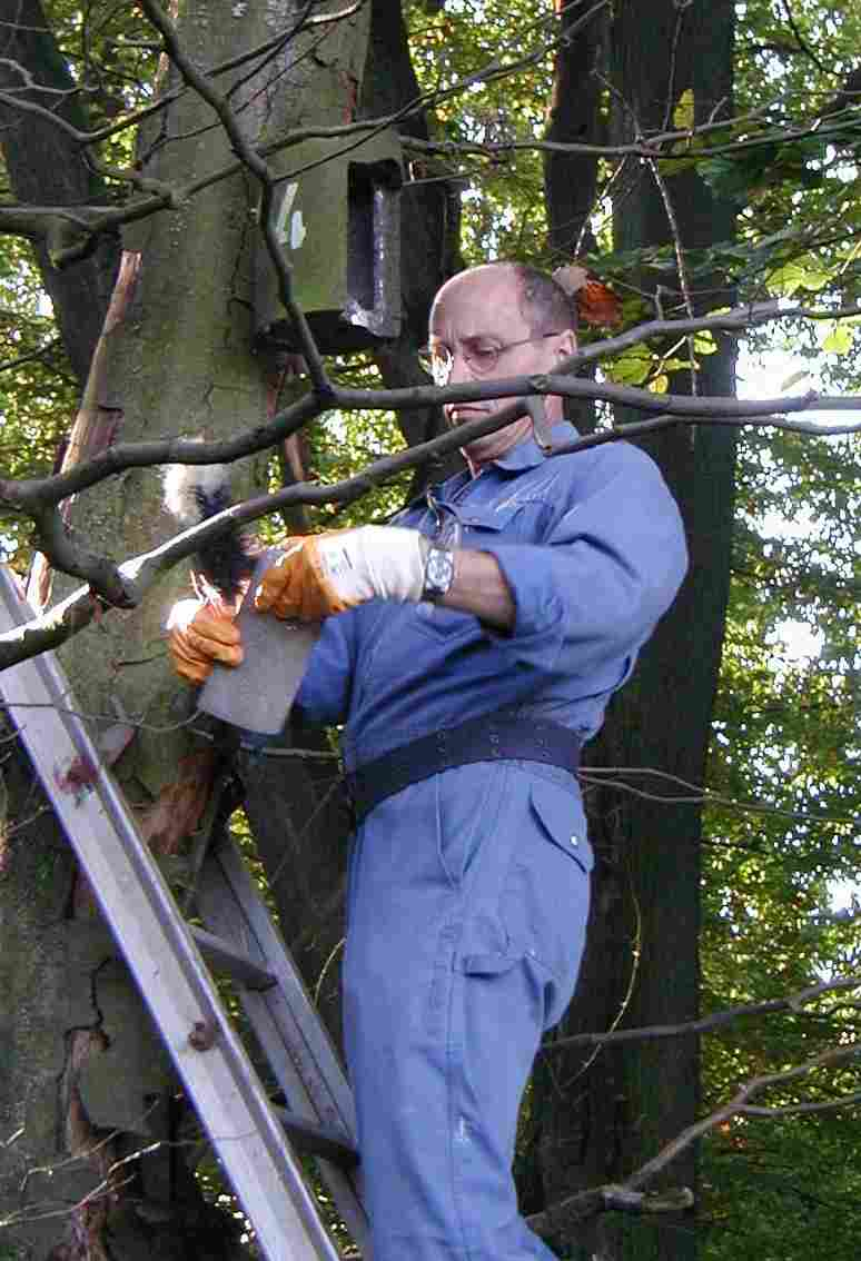 Hermann Zell bei der Arbeit